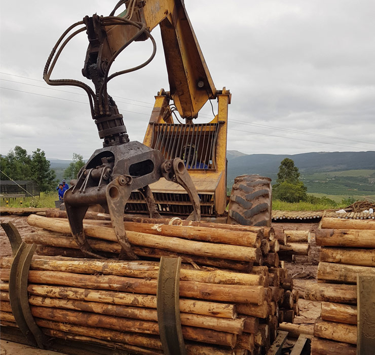 Brondal Treated Timber crane carrying eucalyptus tree poles