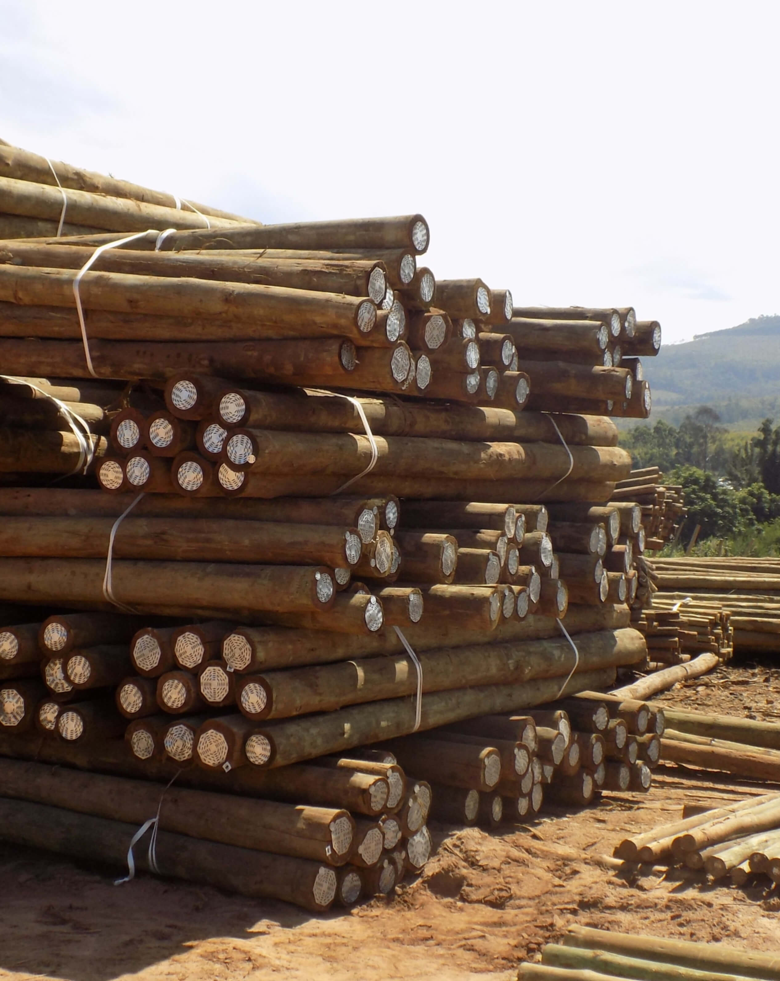 Sustainable Description Image