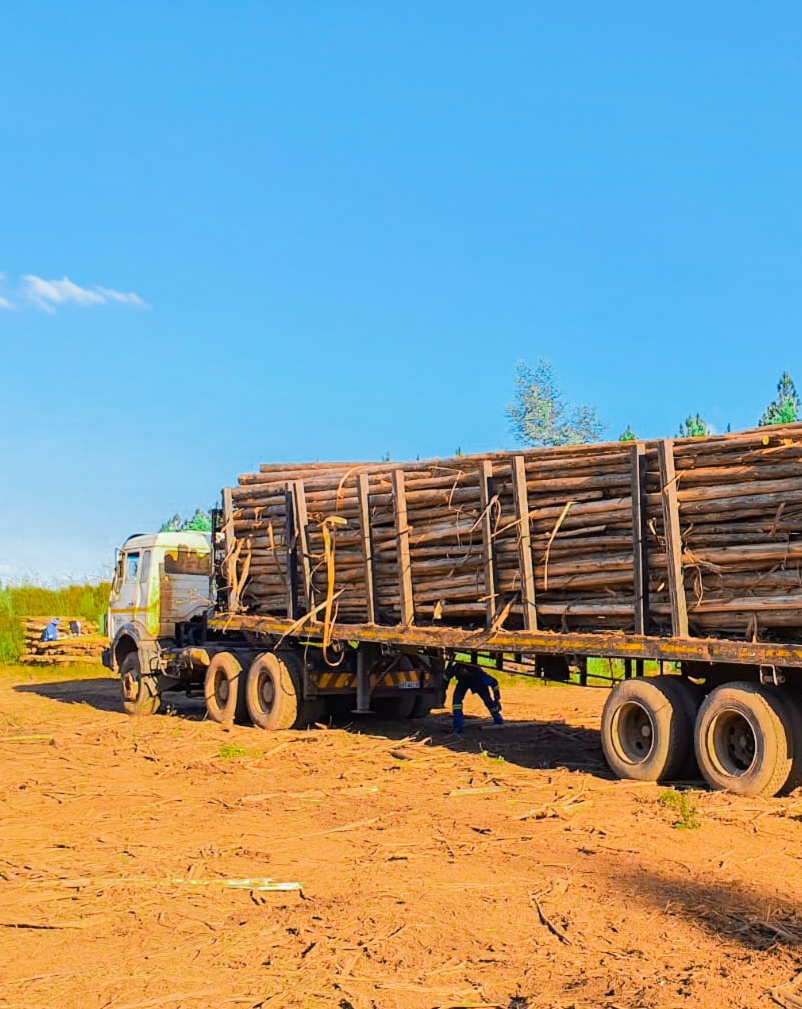 Receiving Description Image