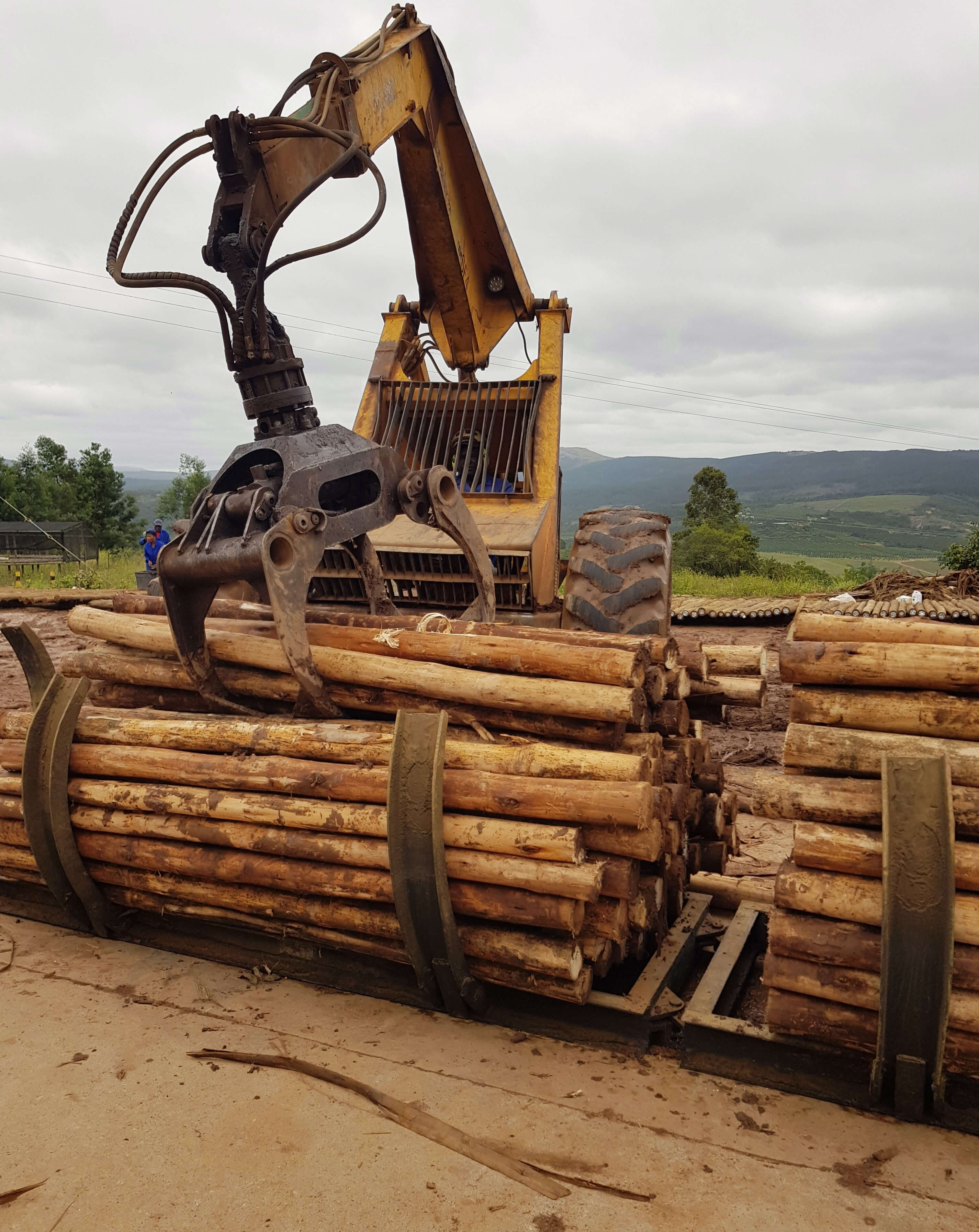 Grading Description Image