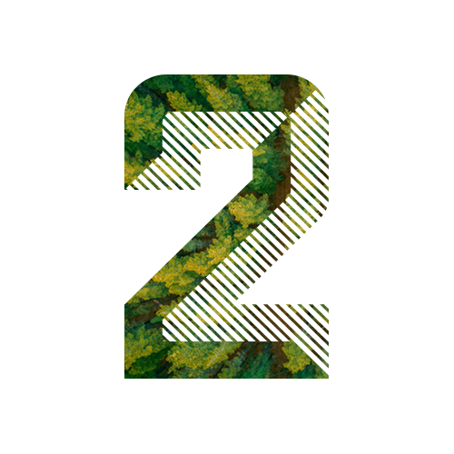 Step 2 - Receiving and unload