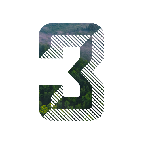 Step 3 - Grading & quality check