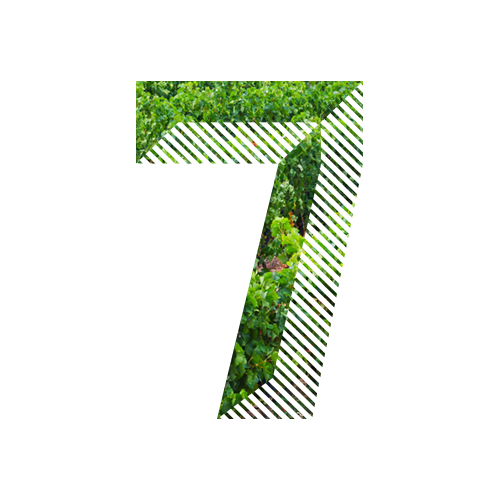 Step 8 - Final inspection