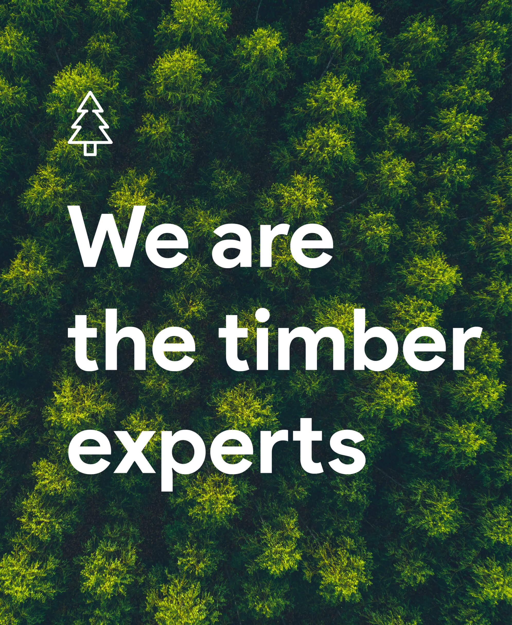 We are the timber experts
